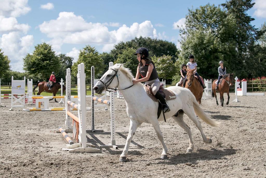 Appartements Les Ormes Epiniac Екстер'єр фото